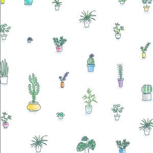 Meet your Posher, Hayden